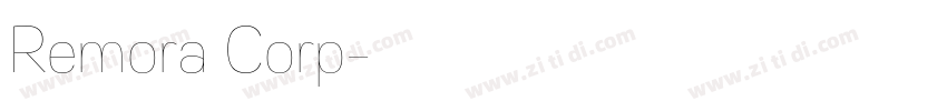 Remora Corp字体转换
